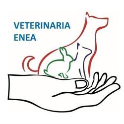 Ambulatorio Associato Enea