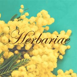 Erboristeria Herbariae
