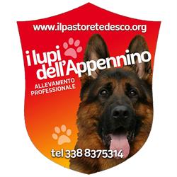 I Lupi dell'Appennino - Allevamento Professionale di Pastori Tedeschi