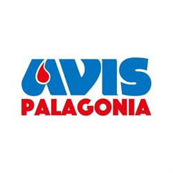 Avis Comunale Di Palagonia