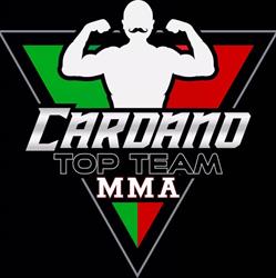 Cardano Top Team