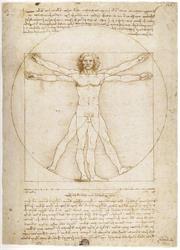 Materia Medica