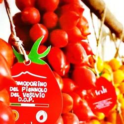 Azienda Agricola Giolì