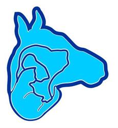 Lamezia Veterinary