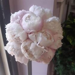 ARTE DEL FIORE