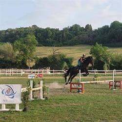 ASD Circolo Equestre Le Cerque