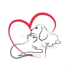 Ambulatorio Veterinario Dott.ssa Cristina Massimo