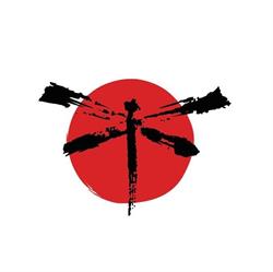Aikido Bergamo