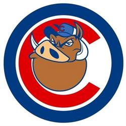A.S.D. Chieti Baseball