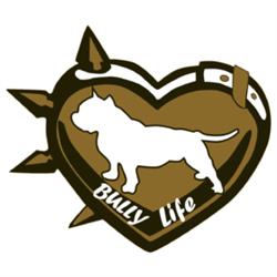 Bully Life - Allevamento American Bully