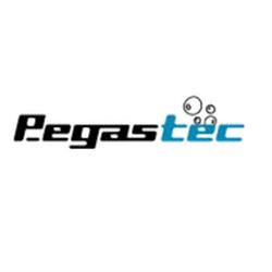 Pegastec