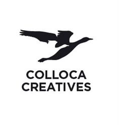 Ferdinando Colloca artista & creativo