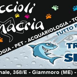 Cuccioli Trinacria Negozio di Animali e di Pesca