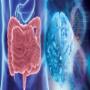Psicosomatica
