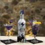 Gallery Professionale