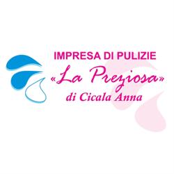 Impresa di Pulizia La Preziosa