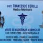 Dr. Francesco Cerulli
