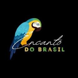 Encanto Do Brasil