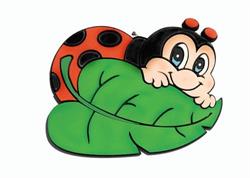 Cartoleria La Coccinella