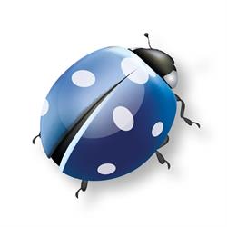 Bazzi, Insurance Partners