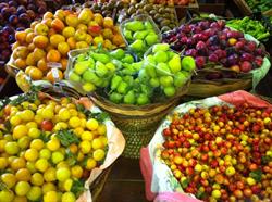 The Best Fruit Snc Di Bonavita