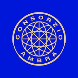 CONSORZIO AMBRA S.R.L.