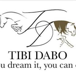 Tibi Dabo