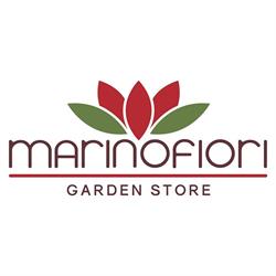 Marino Fiori s.n.c.