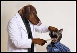 Centro Veterinario Flaviovet