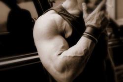 Palestra New Sportline Valentino Club
