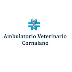 Centro Diagnostico Veterinario Cornaiano