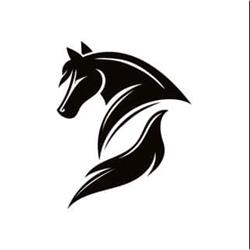 Da Vincent al Cavallino