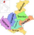 Cerco venditori zona provincia di Treviso