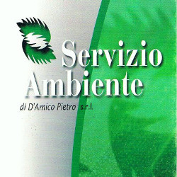 Servizio Ambiente S.r.l.