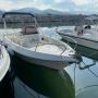 Gallery Professionale