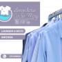 Gallery Professionale