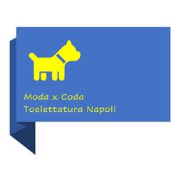 Moda x Coda - Toelettatura Napoli
