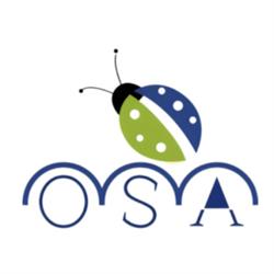 Osa Coccinella by Beppe Mosa - Abbigliamento uomo e donna