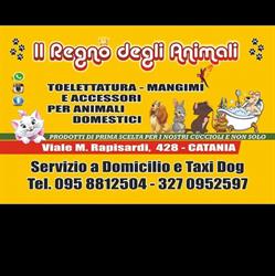 Toelettatura cani Il regno degli animali