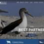 Sito web realizzato per Technosmart