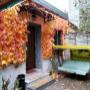 Autunno al BB