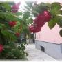 Ingresso carraio