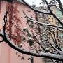 Neve al B&B