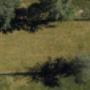 La Tana Park Area Cani Vco