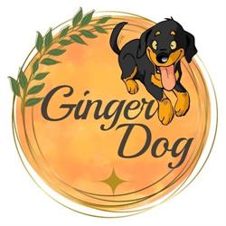 Centro Cinofilo Ginger DOG