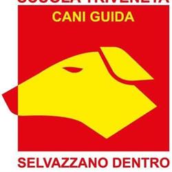 Scuola Triveneta Cani Guida A.P.S.