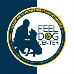 Feel Dog Center