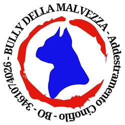 Bully della Malvezza - Educazione e Addestramento Cani Molinella Bologna