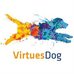 Toni De Vito Educatore Cinofilo Comportamentale