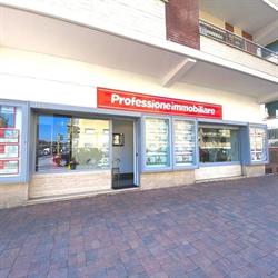 Professione Immobiliare